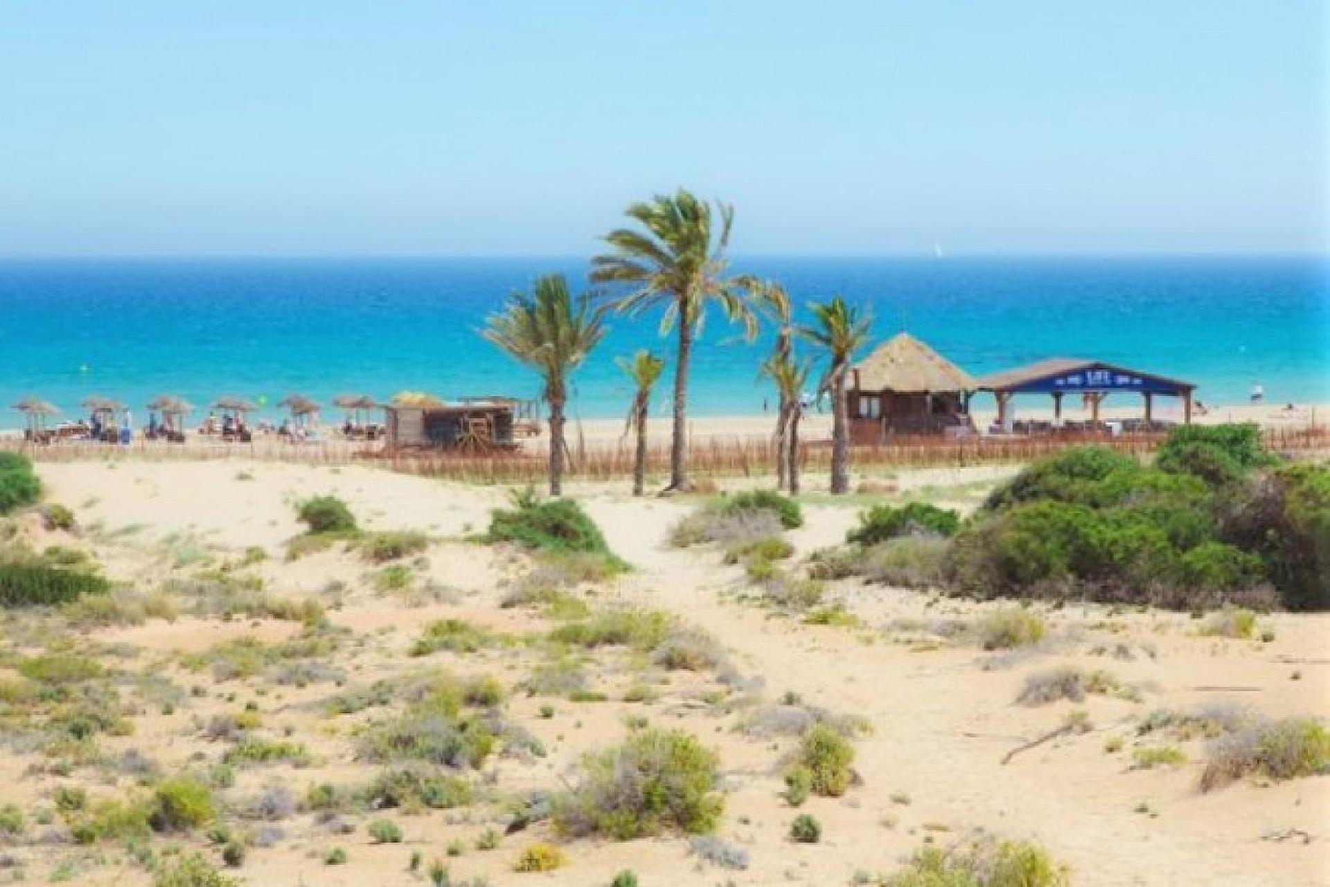Mediterraneamente soleado Santa Pola Esterno foto